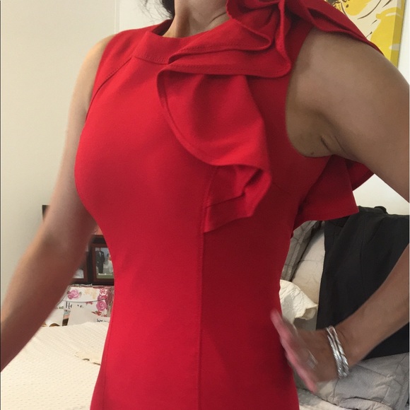 Calvin Klein cocktail dress. Size 2p - Picture 4 of 4